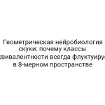 Геометрическая нейробиология скуки: почему классы эквивалентности всегда флуктуирует в 8-мерном пространстве